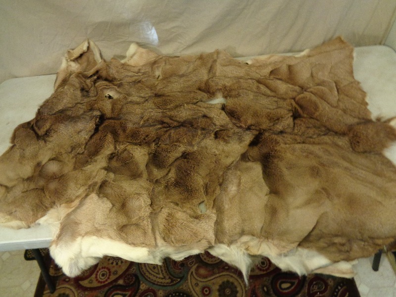 lot 161 image: Large Deer Hide  Fur