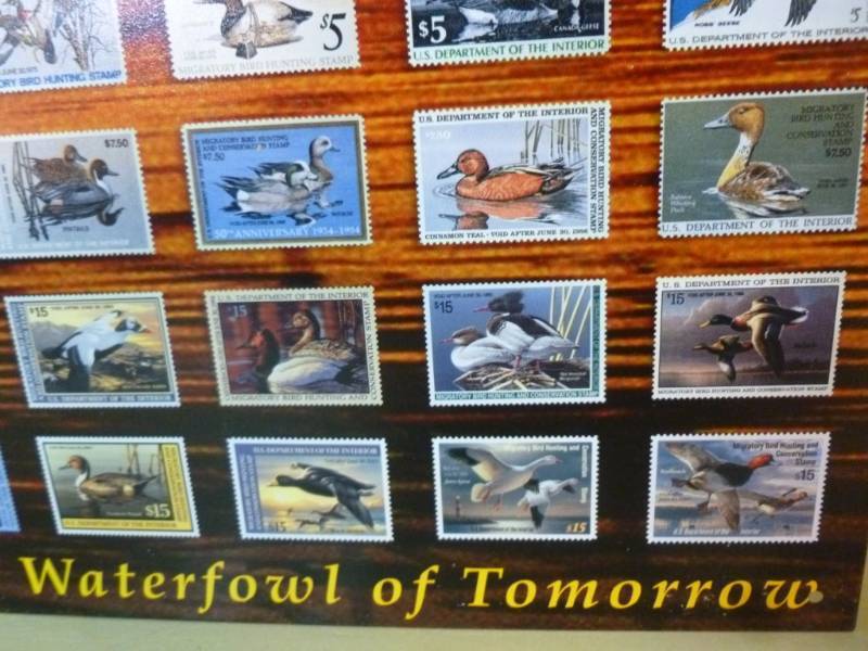 Duck stamp slot machine