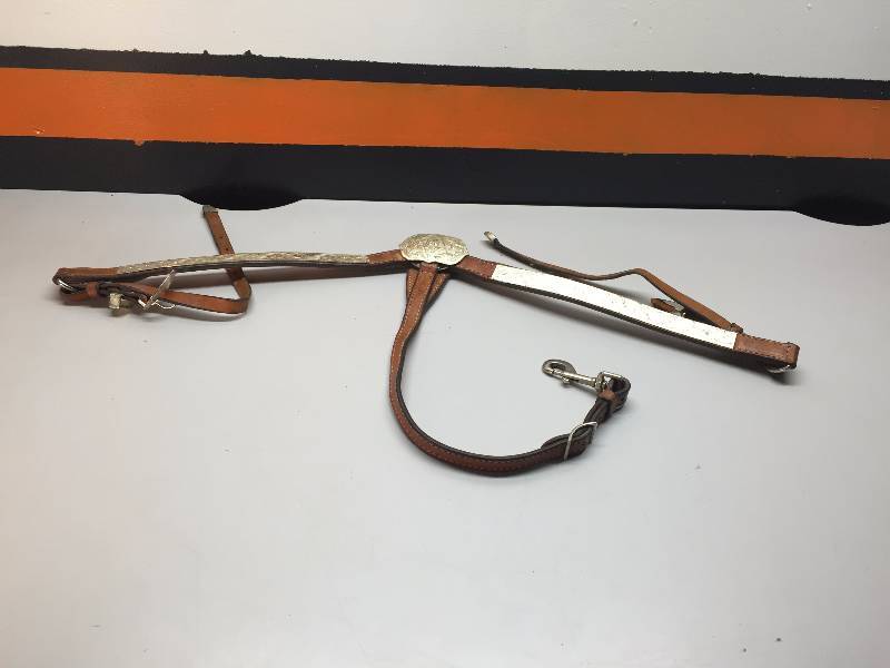 lot 14 image: SHOW BREAST COLLAR PURE SILVER