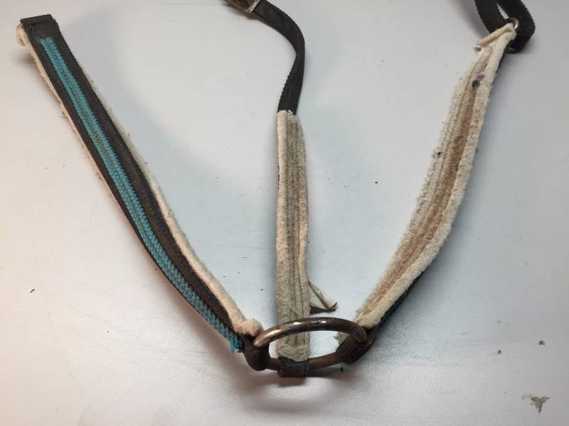lot 16 image: BREAST COLLAR NYLON