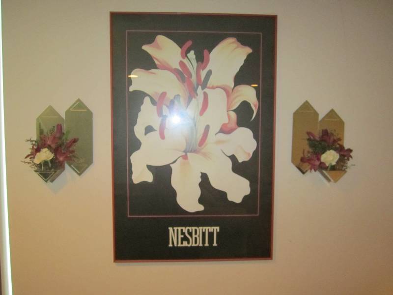 Nesbitt framed wall art with mirror...