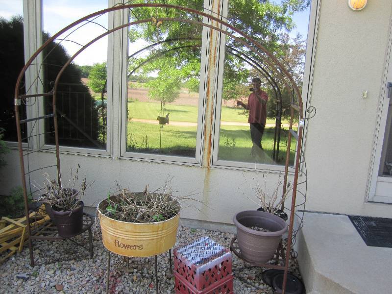 Iron arbor, 82 wide, 7 feet tall w...