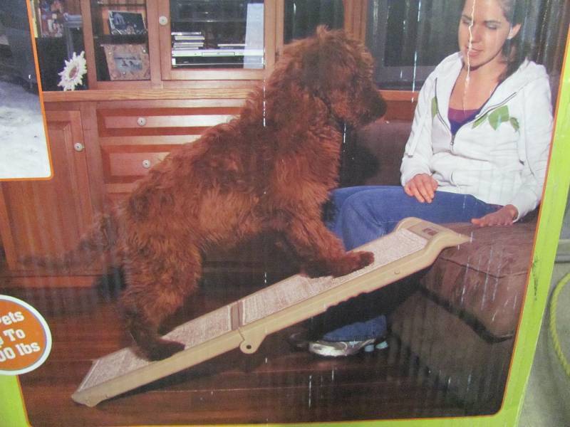 Pet Accessories