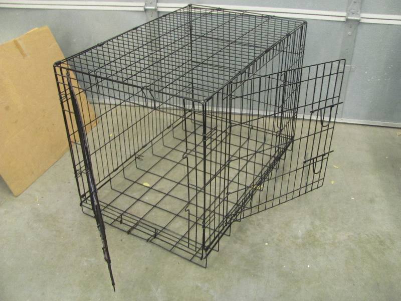Pet Accessories