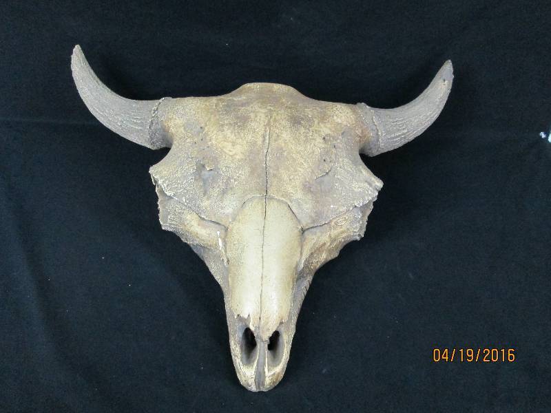 lot 7 image: Vintage SteersBuffalo Head Casting