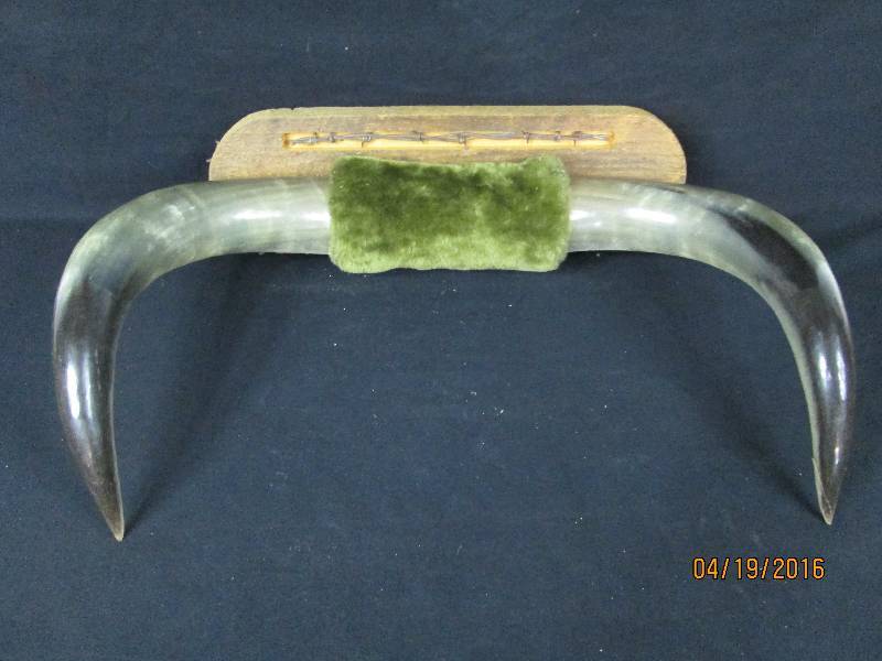 lot 11 image: Bulls Horns