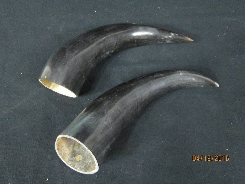 lot 13 image: Pair Cows horns