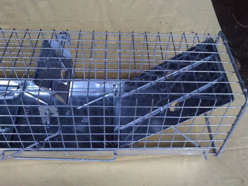SMALL STEEL LIVE TRAP