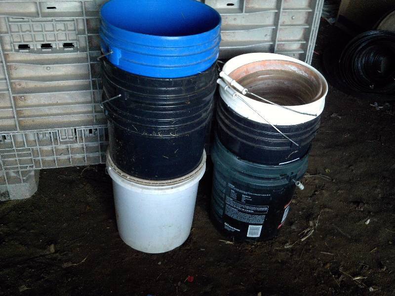 5 GALLON PAILS