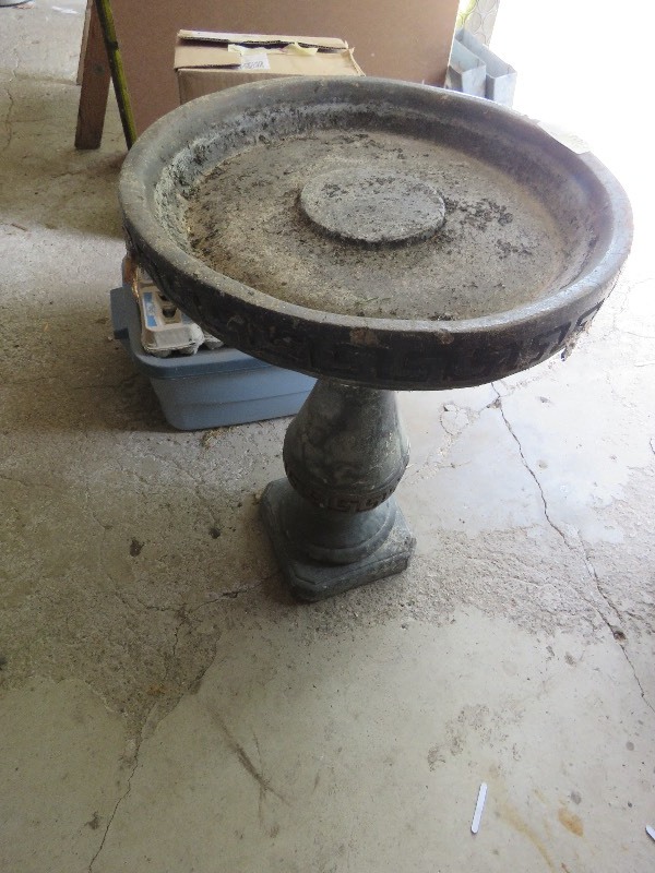 Bird Bath