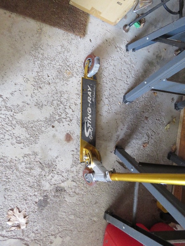 Schwinn Sting