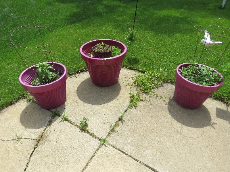 flower pots