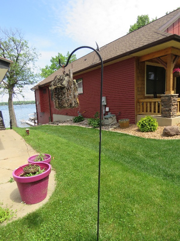 Shepherds Hook with bird feeder