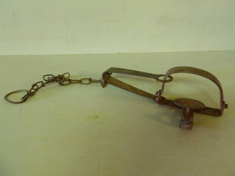 lot 41 image: Vintage Trap