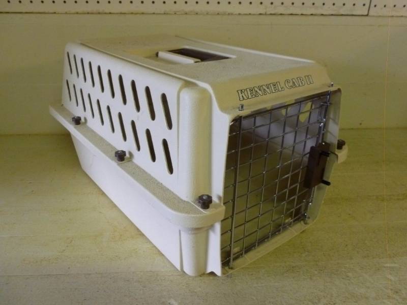 lot 82 image: Pet Taxi