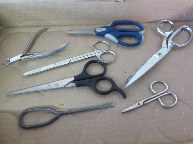 lot 145 image: Scissors