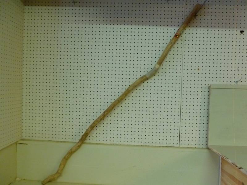lot 304 image: Walking Stick