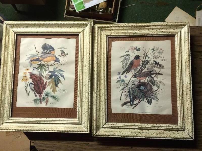 lot 230 image: Framed Bird Pictures