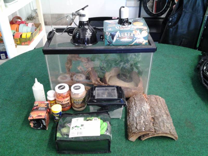 Reptile Tank Set-Up, Lights, Food, Cleaning Kit & Sceenery