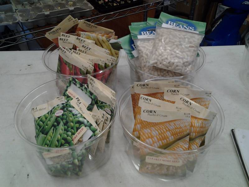 50 Packages Of Seeds