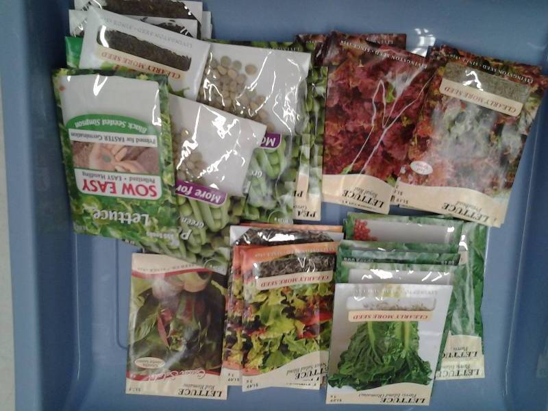 50 Packages Of Seeds