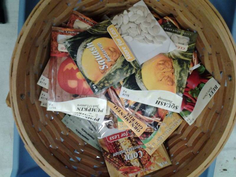 50 Packages Of Seeds