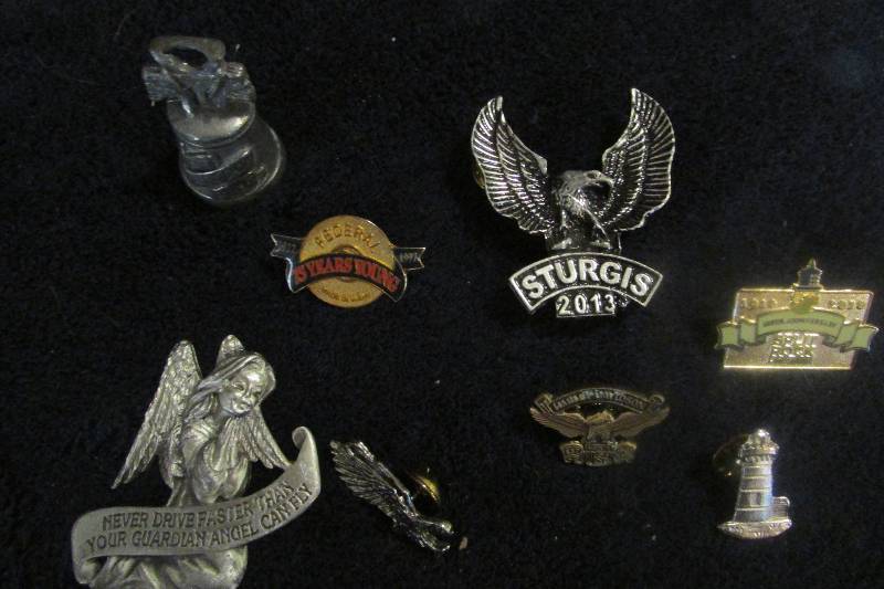 lot 17 image: Assorted Pins