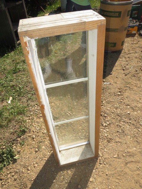 Window