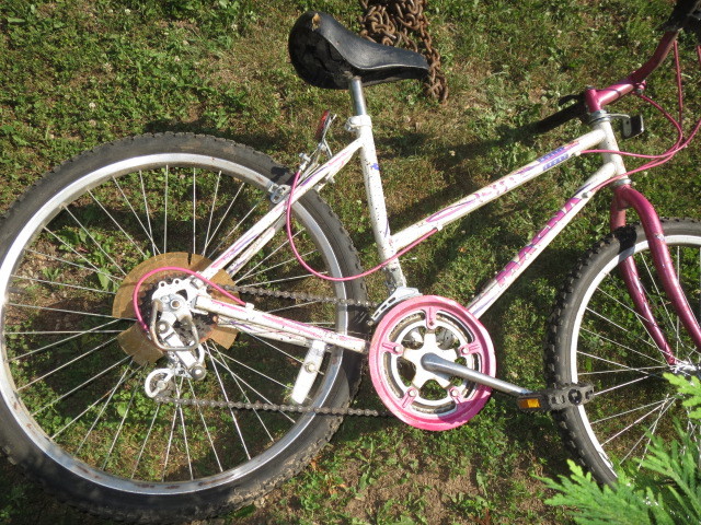 Ladies Bike