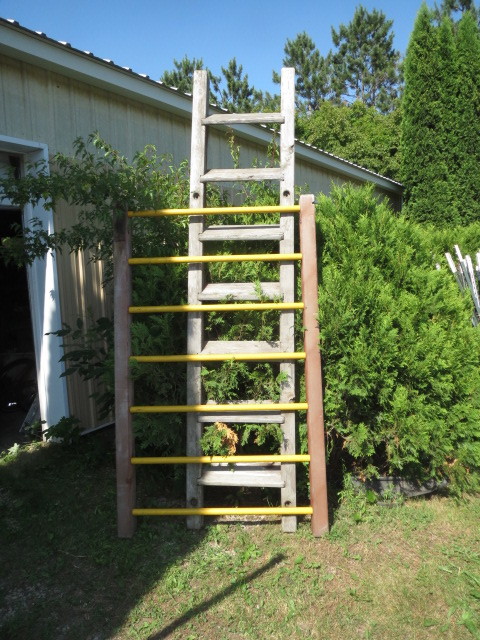Ladder & Monkey Bars