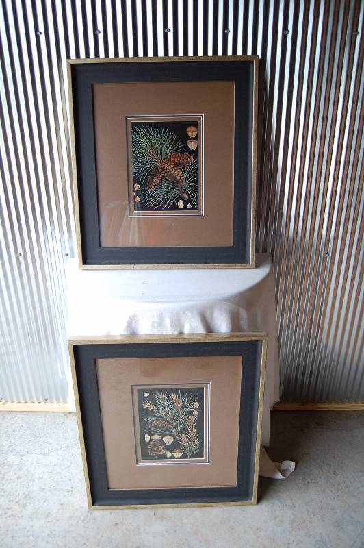 2 Framed Pictures