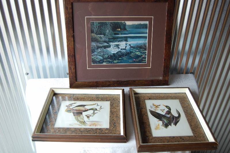 3 Framed Pictures