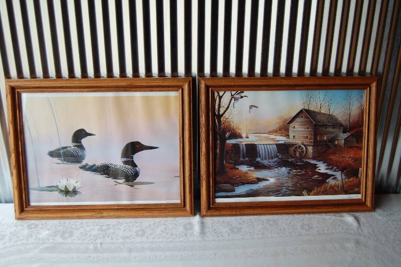 2 Framed Pictures