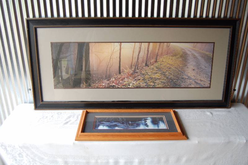 2 Framed Pictures