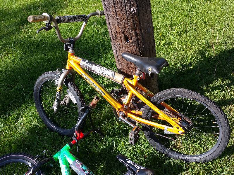lot 225 image: Two Kids Bikes