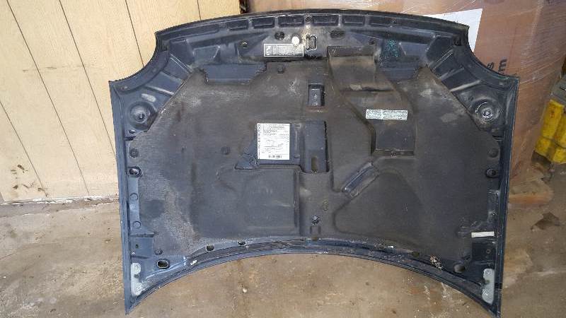 1995-1999 Neon hood