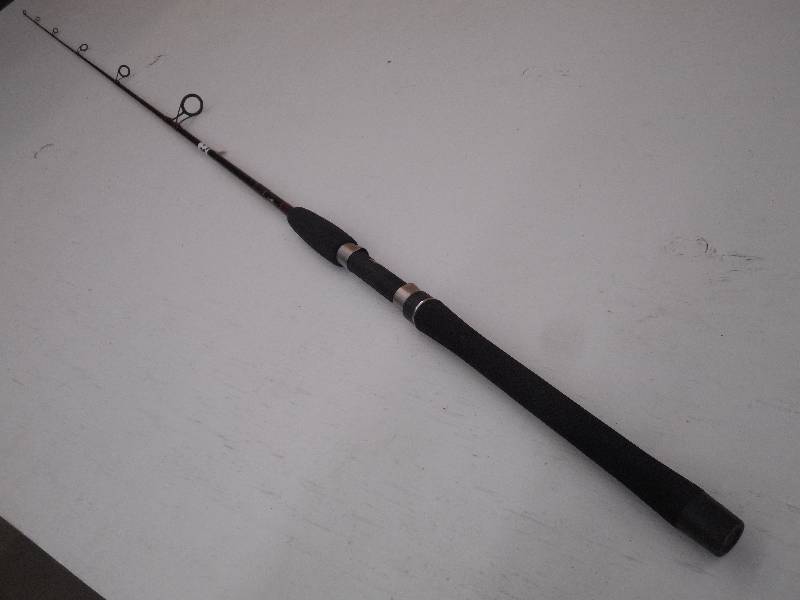 lot 233 image: Fenwick Eagle 66 Medium Action Sp...