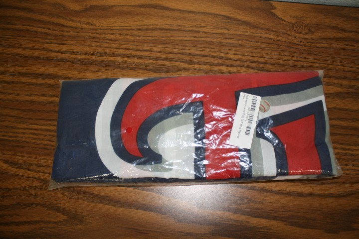 lot 83 image: Minnesota Twins Flag