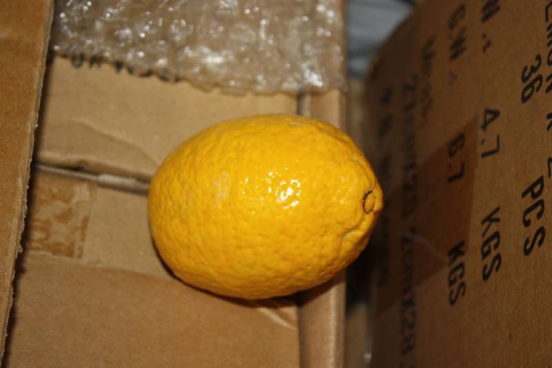 lot 1 image: Cold Cast Lemon     Quantity 180