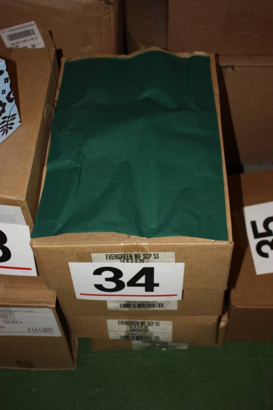 lot 34 image: 14 x 3 x 20 Evergreen Merchandise Bag     Quantity 1000