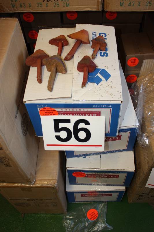 lot 56 image: Paper mache mushrooms - Bags of 6 assorted.      Quantity 60