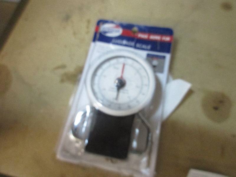 Suitcase scale