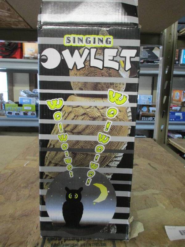 Singing owl