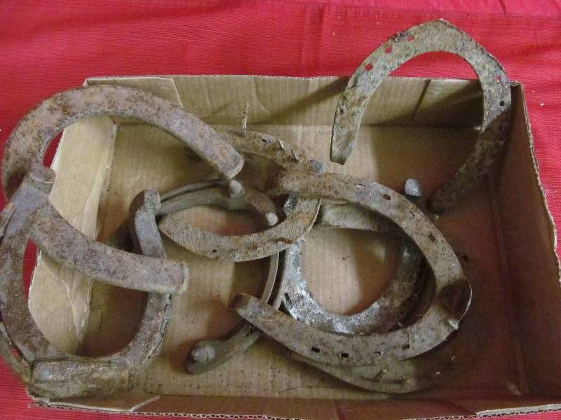 Horse Shoes