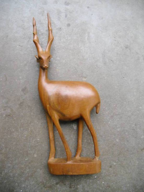 African Gazelle