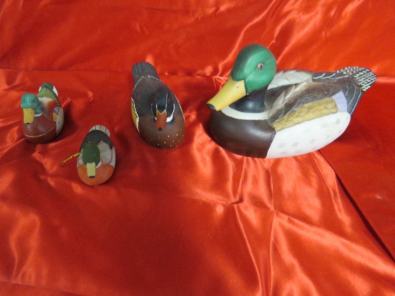 duck lot
