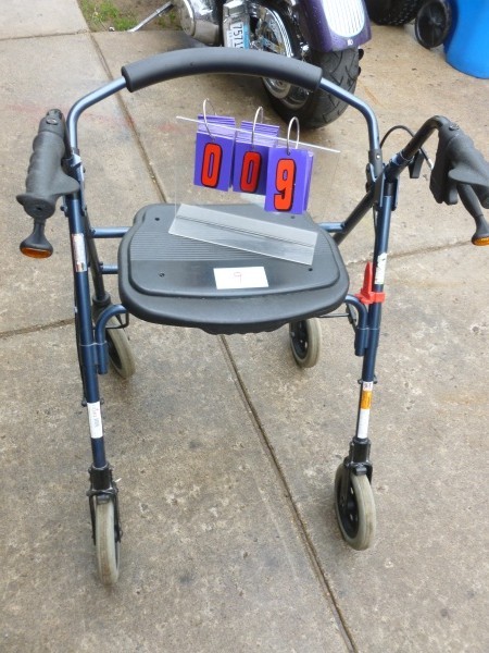 SnS Auctions # 216 Early Summer Sale
