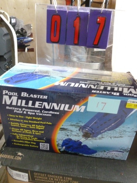 SnS Auctions # 216 Early Summer Sale