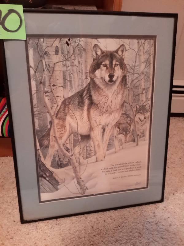 Wolf Picture