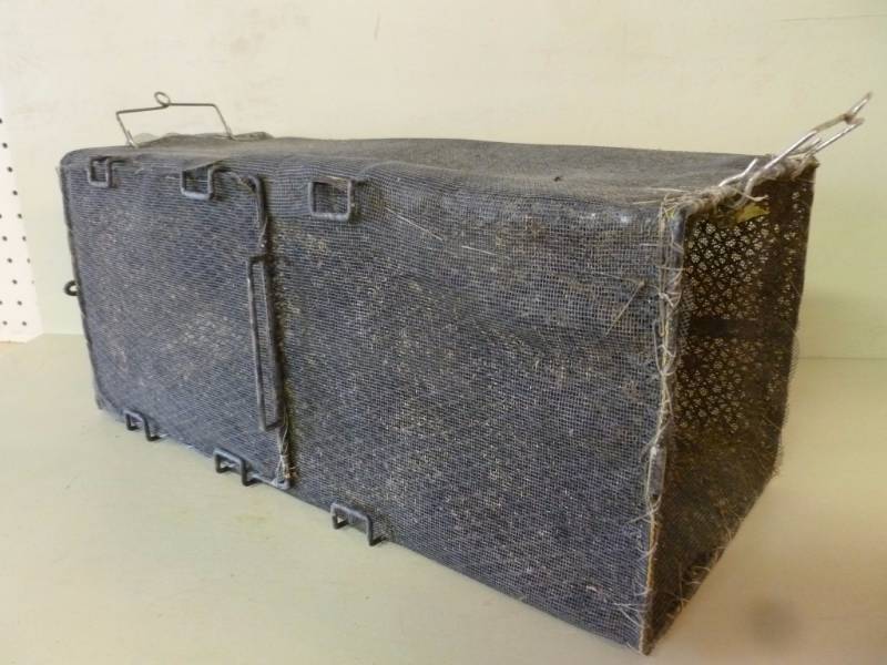 Minnow Trap
